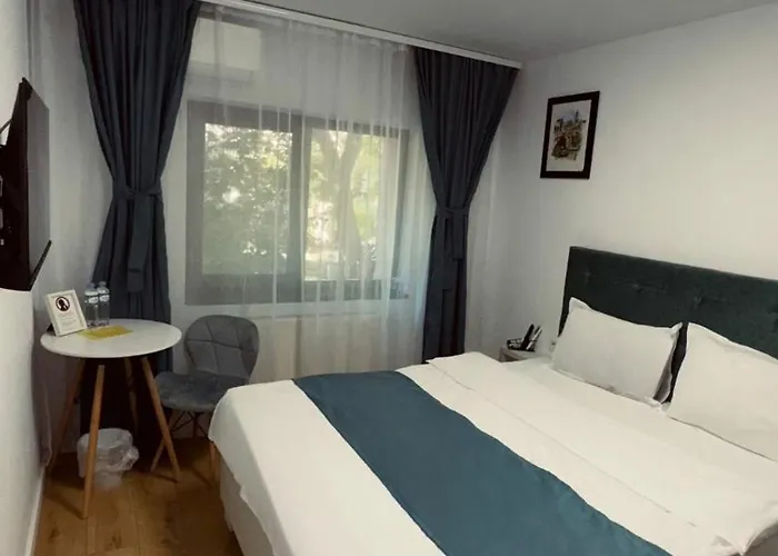 Πανσιόν 3 Baneasa Airport Βουκουρέστι