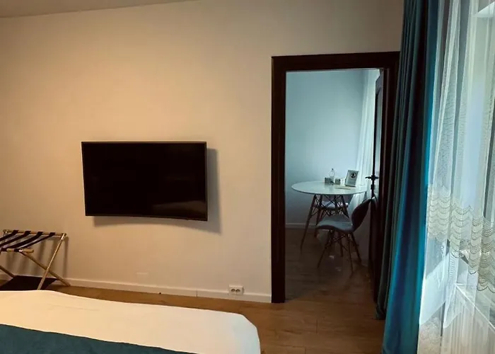 Πανσιόν 3 Baneasa Airport