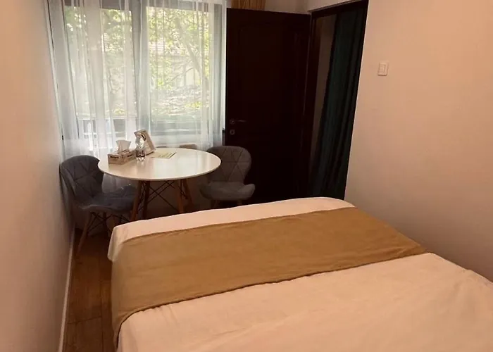 3 Baneasa Airport ゲストハウス 3*