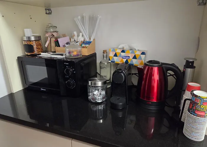 Πανσιόν 3 Baneasa Airport Βουκουρέστι